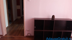 Închiriez apartament cu 2 camere, aproape de P-ta Delfinului