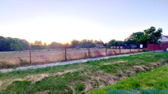 De vânzare teren plus casa veche in Ciacova, direct de la proprietar