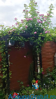 Casa cu 4 camere în Bragadiru pe strada Celofibrei. Preț 93000 euro.
