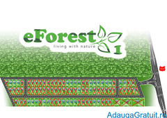 Loturi de vanzare, Dambovita, cel mai mic pret din zona!