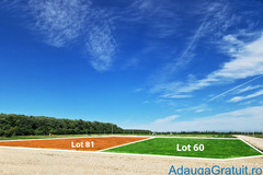 Loturi de vanzare, Dambovita, cel mai mic pret din zona!